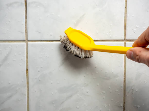 Best Local Mold Removal Service  in Sundown, TX