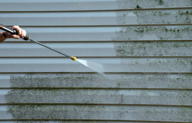 Mold Testing and Removal in Sundown, TX