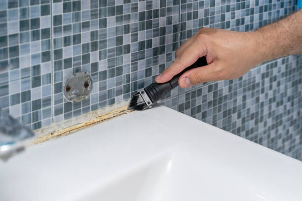 Best Same-Day Mold Removal  in Sundown, TX