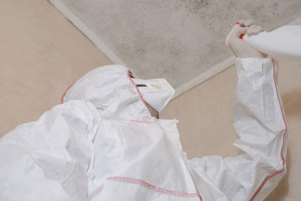 Best Mold Damage Repair  in Sundown, TX